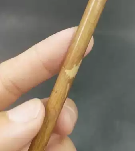 红湘妃竹纯狼毫,口径0.7出峰2.5 感兴...