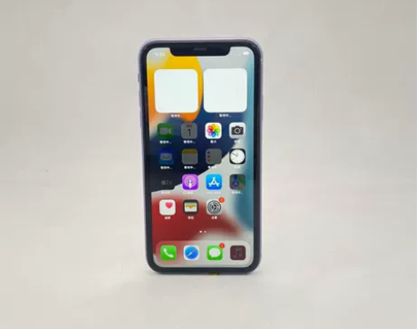 Apple/苹果 苹果 iPhone 11...