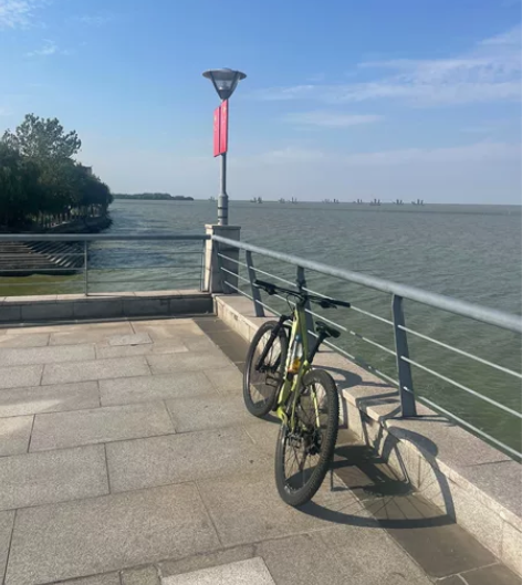 SAVA 的山地车,3×10速,碳纤...