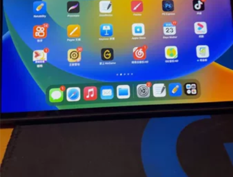 Apple/苹果 iPad pro10.5...