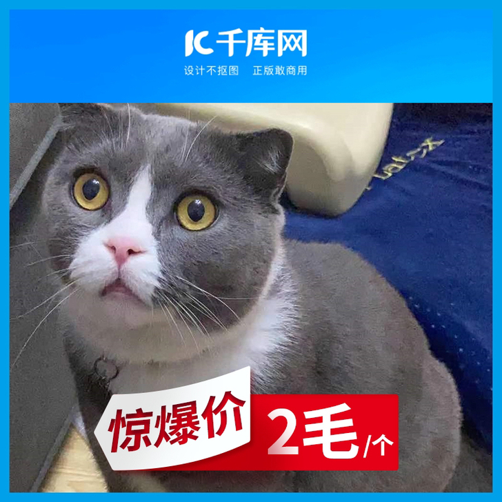 【千库网】素材代下