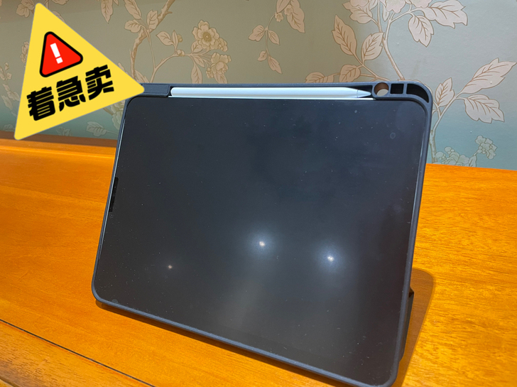 10月份苹果专卖店买的ipadpro3代2...