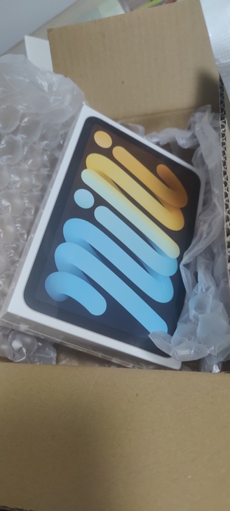 Apple iPad mini 8.3英寸...