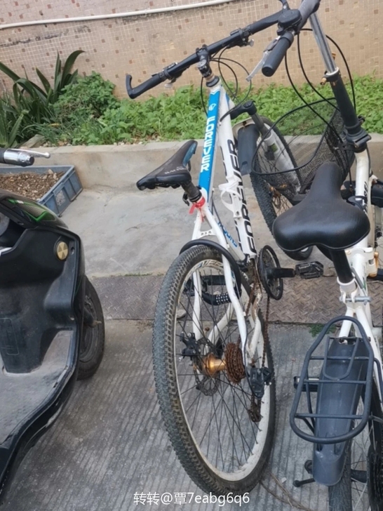永久牌自用山地自行车 带密码锁下把, 买的...