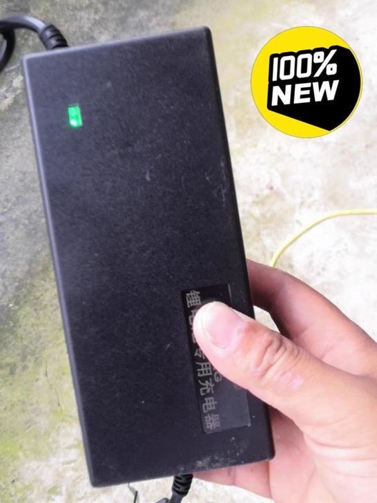 全新锂电瓶充电器12V(12.6)10A ...