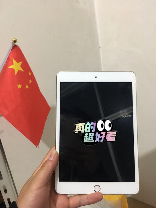 iPad mini3
