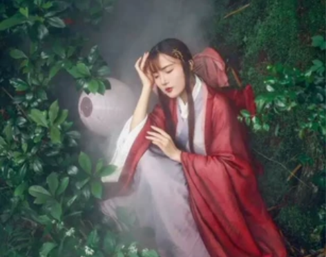 司南阁原创正品 汉服大袖衫 宋交领衫裙—红...