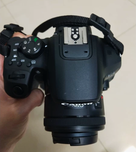 佳能850d 出单机!!! 放在干燥箱里...