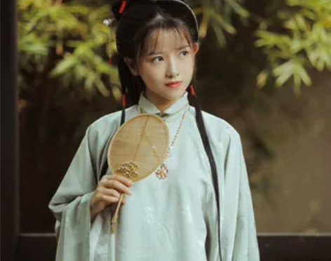 兰若庭 汉服 太平有象 长袄 立领 明制上...