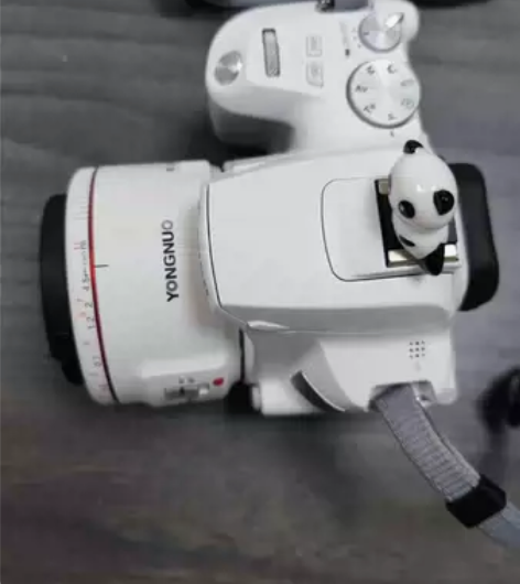 #Canon/佳能 #佳能单反相机 自购自...
