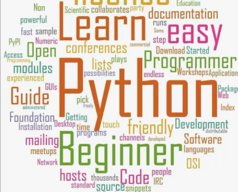 留学生英文Python付到R语言 Java...