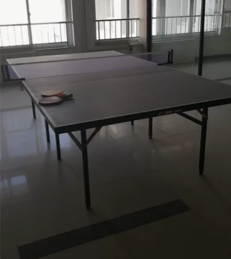 （谢绝讲价）红双喜乒乓球桌 可折叠乒乓球台...