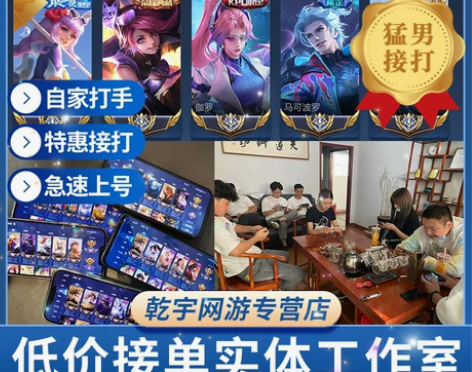 国服打手 实体工作室 特惠专接大小国标...