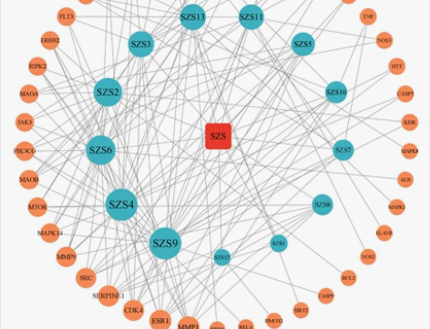 网络药理学##amp;amp;分子对接专业...