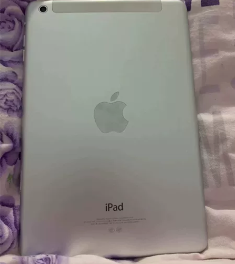 iPad mini1，摄像，WiFi一切正...