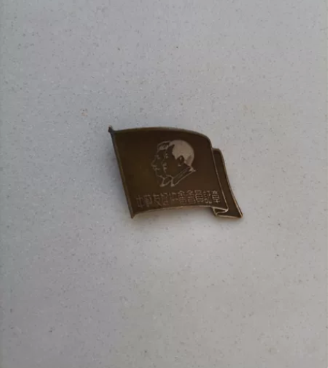 五十年代初中苏友好协会会员证章，见证了那个...