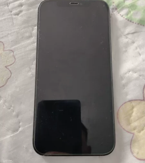 自用iPhone 12Pro 海蓝色,25...