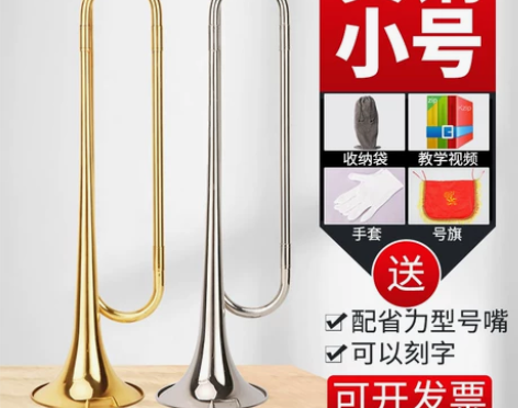 品质保证十年老店艾森利青年号小号乐器小学生...