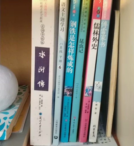 6本书，水浒传，钢铁是怎样炼成的，昆虫记，...