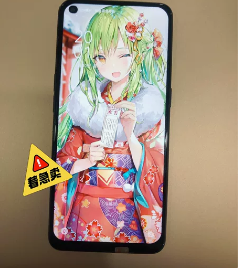 如图OPPO Reno5 8+128  5...