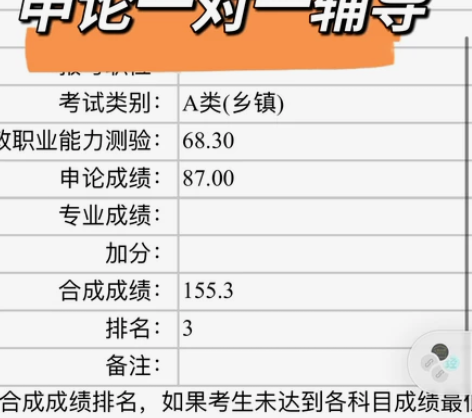 申论一对一辅导 高分应试技巧传授! 本人乡...