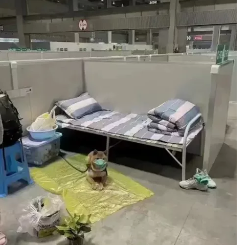 50以内包邮收一台诺基亚n95n96n97...