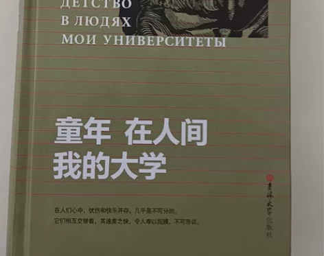 童年在人间我的大学（全新） 感兴趣的话点“...