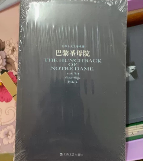 巴黎圣母院 全新未拆 12块 感兴趣的话点...