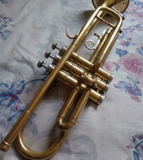 小号乐器,一把星海小号完整,性能音色都很不...