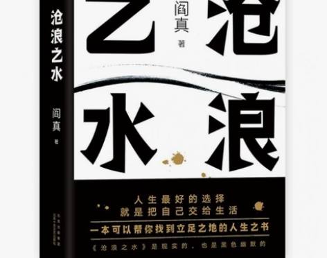 沧浪之水 阎真 中国现当代小说 爱情小说 ...