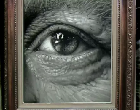 漆黑之牙 超写实素描 眼超写实素描作品 ...
