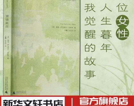 激情耗尽 薇塔萨克维尔韦斯特 小说版一间