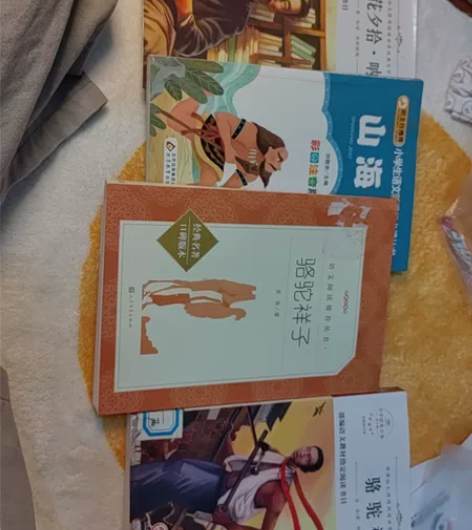 初一老师叫买的,骆驼祥子,山海经,朝花夕拾...