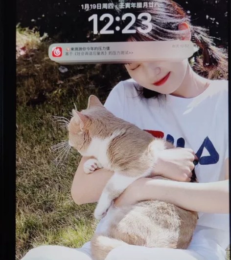 Apple iPad(第 9 代)10.2...