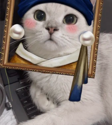 春节不涨价！！！接上门喂猫！ 本人坐标 下...