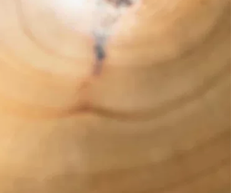 赵之谦书风 禅意 象形 主人杯座 炉座 ...
