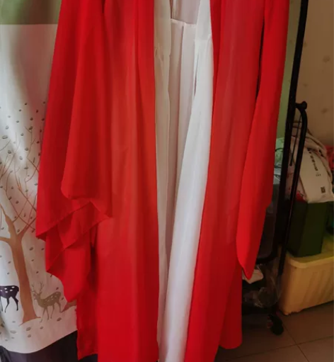 （可租或可换可出）红色汉服女夏季古装魏晋古...