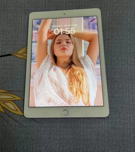 iPad pro9.7寸 扩容256G 插...