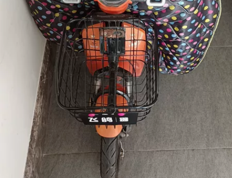 飞鸽新国标电车48V电动车小型亲子代步电瓶...