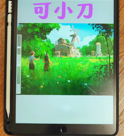ipad air3 64g 屏幕状态和...