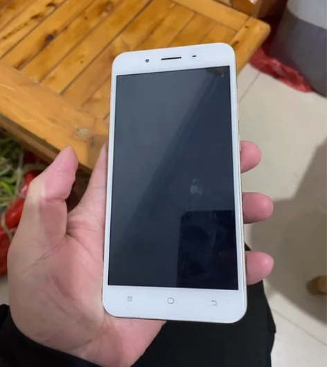 vivo y66l背后写的是这个 电池不咋...