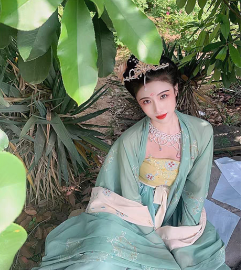 包邮汉服女原创【簪花】印花复原款唐制诃子裙...