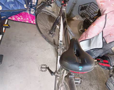 飞利浦的公路车，买了一个半月工作调动，骑不...