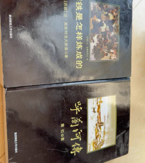 呼兰河传 钢铁是怎样炼成的 单买也行 需要...