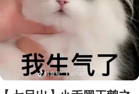 【七月出】小乔黑天鹅之梦cos大全套m,背...