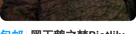 包邮黑天鹅之梦Riotlily艾特里里项链...