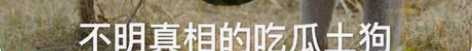 包邮个人自己用,收,中石化油卡,中石油加油...