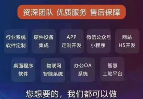包邮#我的新年第一发#网站小程序定制开发,...