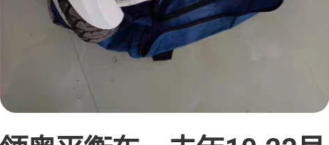 领奥平衡车,去年10.22号买的,里程不超...