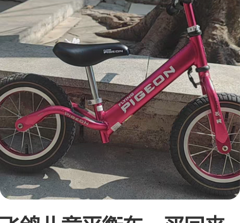 飞鸽儿童平衡车，买回来骑的次数较少，功能完...